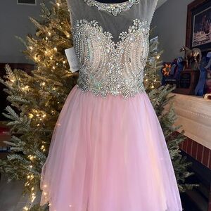 Elegant Pink and Silver Hoco/Prom Dress